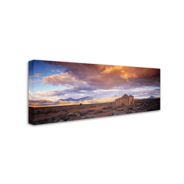 David Evans 'Edeowie-Flinders Ranges' Canvas Art,6x19